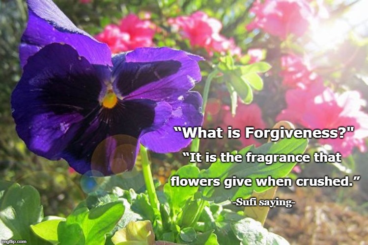 “What is Forgiveness?"; “It is the fragrance that; flowers give when crushed.”; -Sufi saying- | image tagged in forgiveness crushed flowers fragrance sufi proverb | made w/ Imgflip meme maker