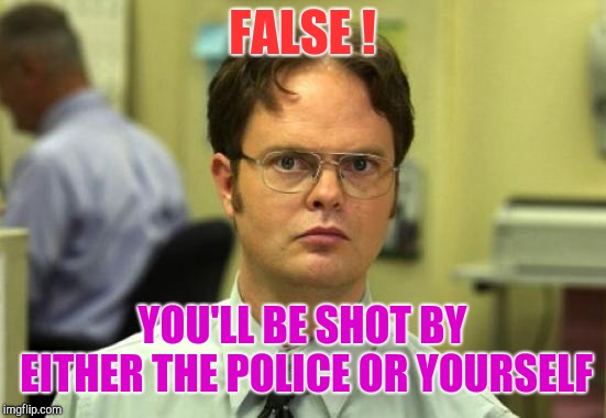 Dwight Schrute Meme | FALSE ! YOU'LL BE SHOT BY EITHER THE POLICE OR YOURSELF | image tagged in memes,dwight schrute | made w/ Imgflip meme maker