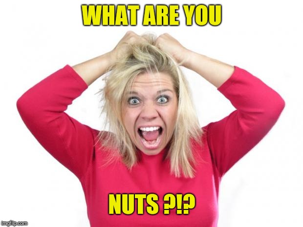 Hair Pulling | WHAT ARE YOU NUTS ?!? | image tagged in hair pulling | made w/ Imgflip meme maker