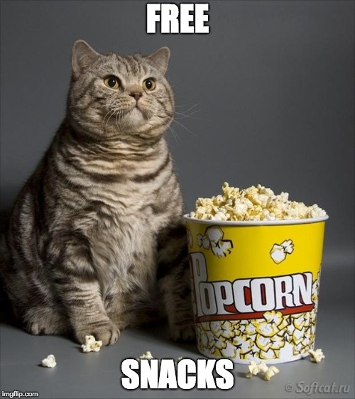 Cat eating popcorn | FREE; SNACKS | image tagged in cat eating popcorn | made w/ Imgflip meme maker