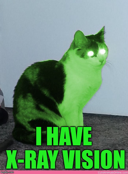Hypno Raycat | I HAVE X-RAY VISION | image tagged in hypno raycat | made w/ Imgflip meme maker