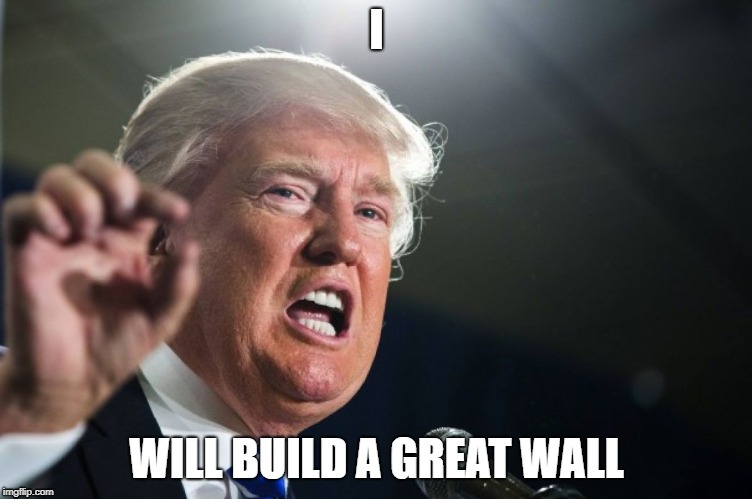 donald trump | I; WILL BUILD A GREAT WALL | image tagged in donald trump | made w/ Imgflip meme maker