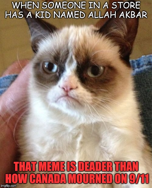 Grumpy Cat Meme | WHEN SOMEONE IN A STORE HAS A KID NAMED ALLAH AKBAR; THAT MEME IS DEADER THAN HOW CANADA MOURNED ON 9/11 | image tagged in memes,grumpy cat | made w/ Imgflip meme maker