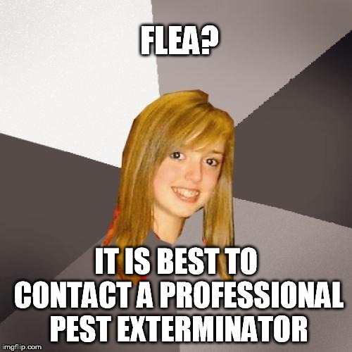 Flea turns 56 today | FLEA? IT IS BEST TO CONTACT A PROFESSIONAL PEST EXTERMINATOR | image tagged in memes,musically oblivious 8th grader,red hot chili peppers,happy birthday,music | made w/ Imgflip meme maker