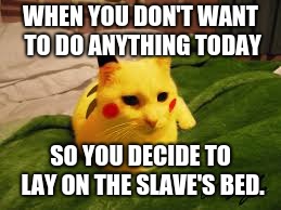 Wake Up, Slave! | WHEN YOU DON'T WANT TO DO ANYTHING TODAY; SO YOU DECIDE TO LAY ON THE SLAVE'S BED. | image tagged in lazy pikacat,memes,cats | made w/ Imgflip meme maker