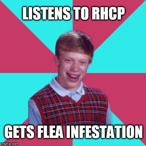 Happy birthday to Flea | LISTENS TO RHCP; GETS FLEA INFESTATION | image tagged in bad luck brian music,red hot chili peppers,fleas,happy birthday,bass,music | made w/ Imgflip meme maker