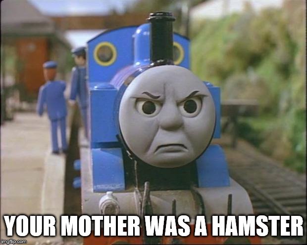 Thomas the tank engine | YOUR MOTHER WAS A HAMSTER | image tagged in thomas the tank engine | made w/ Imgflip meme maker