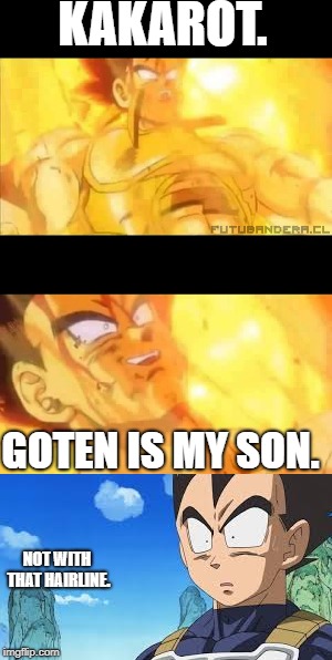 KAKAROT. GOTEN IS MY SON. NOT WITH THAT HAIRLINE. | image tagged in roasted | made w/ Imgflip meme maker