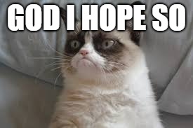 Grumpy cat | GOD I HOPE SO | image tagged in grumpy cat | made w/ Imgflip meme maker