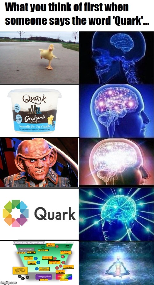 Quark brain expansion | image tagged in running duckling,brain expanding,quark,star trek | made w/ Imgflip meme maker