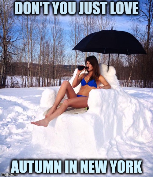 Sun bathing | DON'T YOU JUST LOVE AUTUMN IN NEW YORK | image tagged in sun bathing | made w/ Imgflip meme maker