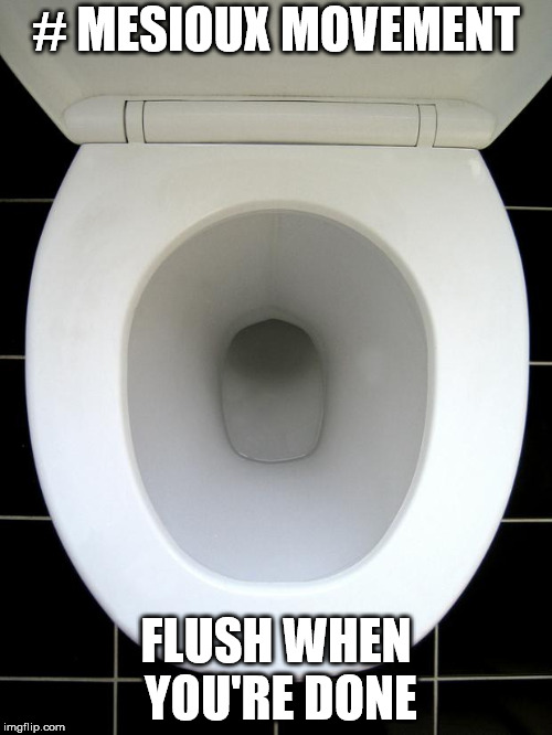 TOILET | # MESIOUX MOVEMENT; FLUSH WHEN YOU'RE DONE | image tagged in toilet | made w/ Imgflip meme maker