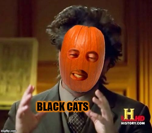Ancient Pumpkins | BLACK CATS | image tagged in ancient pumpkins,cats,halloween,brace yourselves,halloween is coming,meanwhile on imgflip | made w/ Imgflip meme maker