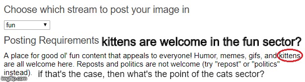 not to mention gifs when there's a dedicated reaction gif sector now | kittens are welcome in the fun sector? if that's the case, then what's the point of the cats sector? | image tagged in memes,kittens | made w/ Imgflip meme maker