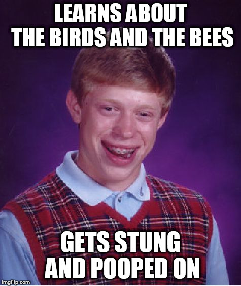 It's a hard knock life for him | LEARNS ABOUT THE BIRDS AND THE BEES; GETS STUNG AND POOPED ON | image tagged in memes,bad luck brian,birds and bees | made w/ Imgflip meme maker