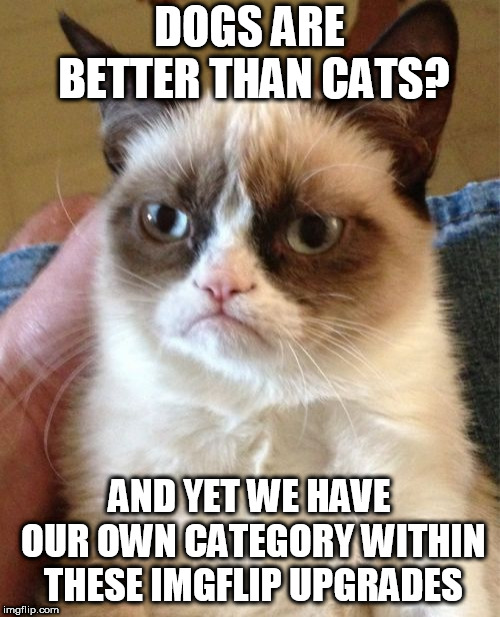 Grumpy Cat Meme | DOGS ARE BETTER THAN CATS? AND YET WE HAVE OUR OWN CATEGORY WITHIN THESE IMGFLIP UPGRADES | image tagged in memes,grumpy cat | made w/ Imgflip meme maker