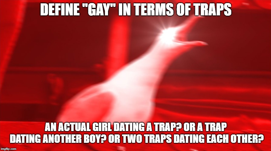 Angry Seagull | DEFINE "GAY" IN TERMS OF TRAPS AN ACTUAL GIRL DATING A TRAP? OR A TRAP DATING ANOTHER BOY? OR TWO TRAPS DATING EACH OTHER? | image tagged in angry seagull | made w/ Imgflip meme maker