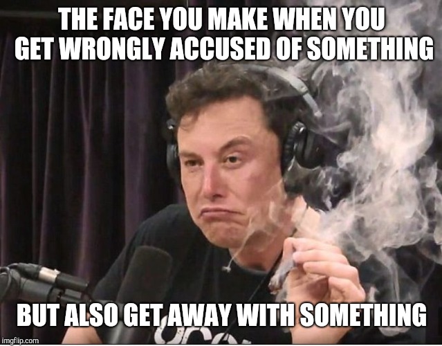 The face you make  | THE FACE YOU MAKE WHEN YOU GET WRONGLY ACCUSED OF SOMETHING; BUT ALSO GET AWAY WITH SOMETHING | image tagged in elon musk smoking a joint | made w/ Imgflip meme maker