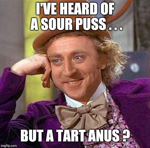 Creepy Condescending Wonka Meme | I'VE HEARD OF A SOUR PUSS . . . BUT A TART ANUS ? | image tagged in memes,creepy condescending wonka | made w/ Imgflip meme maker