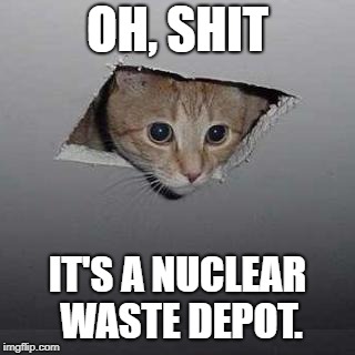 Ceiling Cat | OH, SHIT; IT'S A NUCLEAR WASTE DEPOT. | image tagged in memes,ceiling cat | made w/ Imgflip meme maker