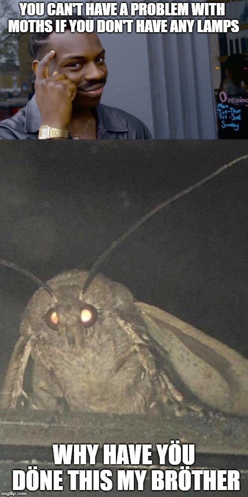 You can't escape the wrath of the moth | YOU CAN'T HAVE A PROBLEM WITH MOTHS IF YOU DON'T HAVE ANY LAMPS; WHY HAVE YÖU DÖNE THIS MY BRÖTHER | image tagged in moth meme,roll safe think about it | made w/ Imgflip meme maker