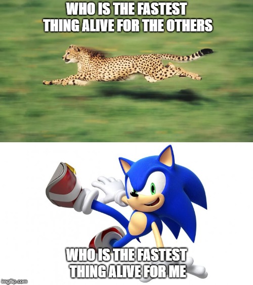 WHO IS THE FASTEST THING ALIVE FOR THE OTHERS; WHO IS THE FASTEST THING ALIVE FOR ME | made w/ Imgflip meme maker