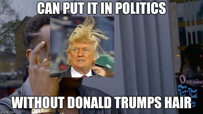 Roll Safe Think About It | CAN PUT IT IN POLITICS; WITHOUT DONALD TRUMPS HAIR | image tagged in memes,roll safe think about it | made w/ Imgflip meme maker