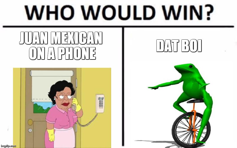 Who Would Win? | JUAN MEXICAN ON A PHONE; DAT BOI | image tagged in memes,who would win | made w/ Imgflip meme maker