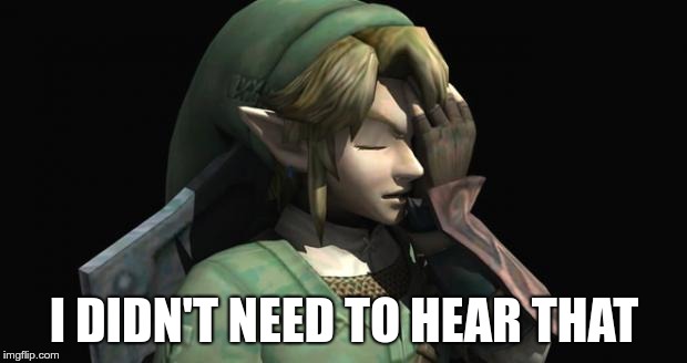 Link Facepalm | I DIDN'T NEED TO HEAR THAT | image tagged in link facepalm | made w/ Imgflip meme maker
