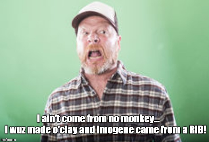 I ain't come from no monkey...        I wuz made o'clay and Imogene came from a RIB! | image tagged in evolution,trump supporters | made w/ Imgflip meme maker