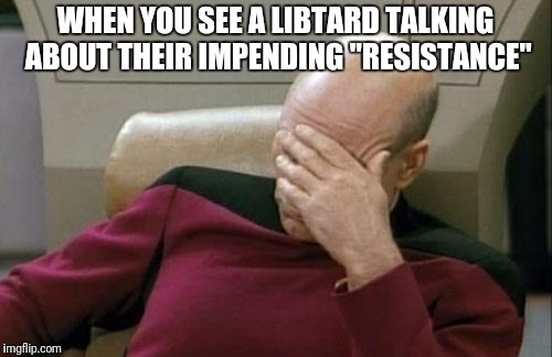 Captain Picard Facepalm Meme | WHEN YOU SEE A LIBTARD TALKING ABOUT THEIR IMPENDING "RESISTANCE" | image tagged in memes,captain picard facepalm | made w/ Imgflip meme maker