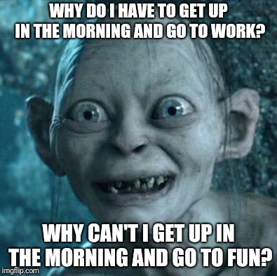 How I Feel Every Morning | WHY DO I HAVE TO GET UP IN THE MORNING AND GO TO WORK? WHY CAN'T I GET UP IN THE MORNING AND GO TO FUN? | image tagged in memes,gollum | made w/ Imgflip meme maker