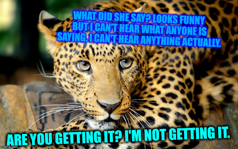 WHAT DID SHE SAY? LOOKS FUNNY BUT I CAN'T HEAR WHAT ANYONE IS SAYING. I CAN'T HEAR ANYTHING ACTUALLY. ARE YOU GETTING IT? I'M NOT GETTING IT. | made w/ Imgflip meme maker