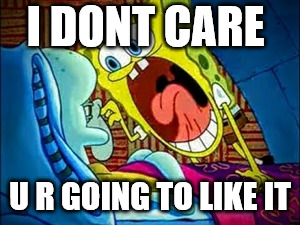 spongebob yelling | I DONT CARE; U R GOING TO LIKE IT | image tagged in spongebob yelling | made w/ Imgflip meme maker