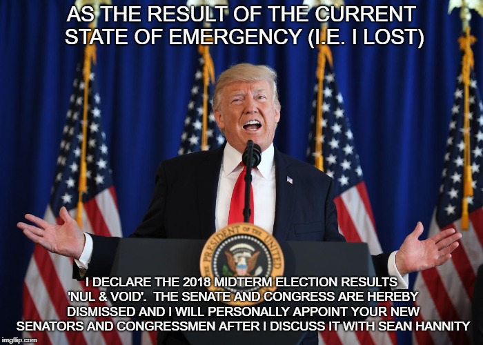 The Mid-Term Elections - let's be controversial........... | AS THE RESULT OF THE CURRENT STATE OF EMERGENCY (I.E. I LOST); I DECLARE THE 2018 MIDTERM ELECTION RESULTS 'NUL & VOID'.  THE SENATE AND CONGRESS ARE HEREBY DISMISSED AND I WILL PERSONALLY APPOINT YOUR NEW SENATORS AND CONGRESSMEN AFTER I DISCUSS IT WITH SEAN HANNITY | image tagged in election 2018,donald trump,trump,president trump | made w/ Imgflip meme maker