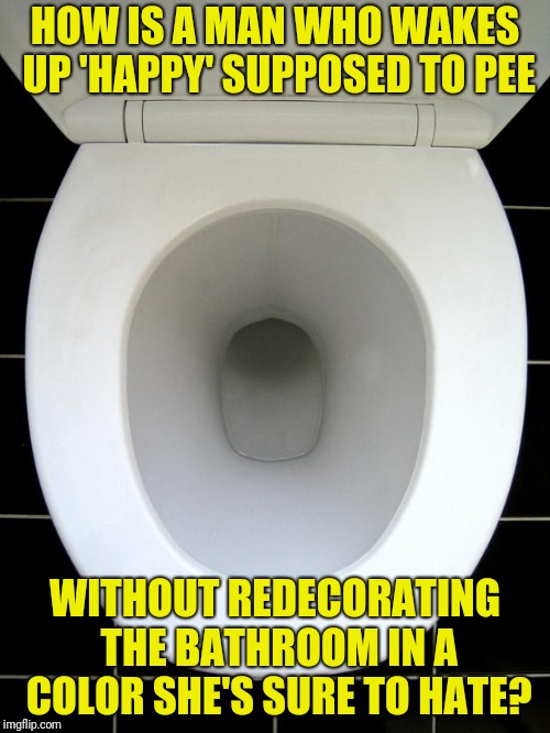 Erectile Overfunctioning | HOW IS A MAN WHO WAKES UP 'HAPPY' SUPPOSED TO PEE; WITHOUT REDECORATING THE BATHROOM IN A COLOR SHE'S SURE TO HATE? | image tagged in toilet | made w/ Imgflip meme maker