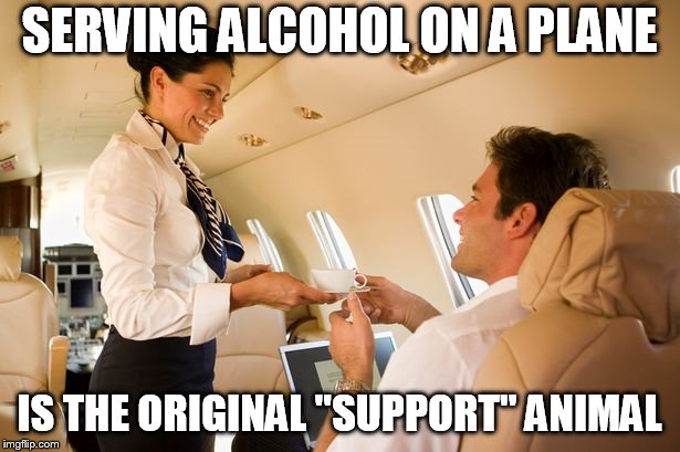 stewardess | SERVING ALCOHOL ON A PLANE; IS THE ORIGINAL "SUPPORT" ANIMAL | image tagged in stewardess | made w/ Imgflip meme maker