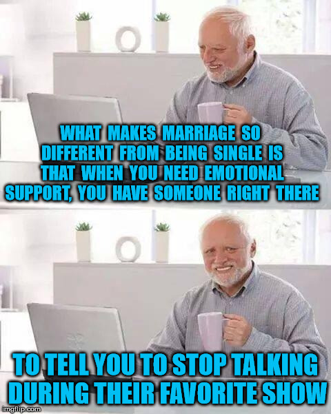 Harold needs to get laid | WHAT  MAKES  MARRIAGE  SO  DIFFERENT  FROM  BEING  SINGLE  IS  THAT  WHEN  YOU  NEED  EMOTIONAL  SUPPORT,  YOU  HAVE  SOMEONE  RIGHT  THERE; TO TELL YOU TO STOP TALKING DURING THEIR FAVORITE SHOW | image tagged in memes,hide the pain harold | made w/ Imgflip meme maker