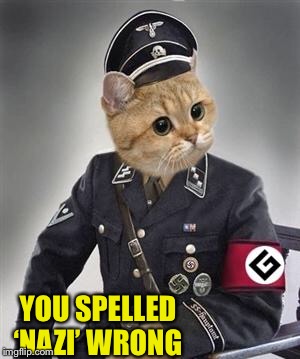Grammar Nazi Cat | YOU SPELLED ‘NAZI’ WRONG | image tagged in grammar nazi cat | made w/ Imgflip meme maker