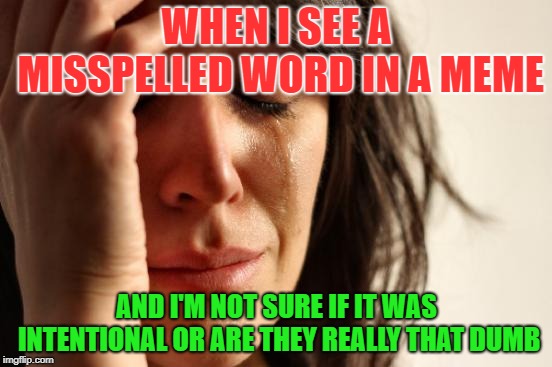 First World Problems Meme | WHEN I SEE A MISSPELLED WORD IN A MEME; AND I'M NOT SURE IF IT WAS INTENTIONAL OR ARE THEY REALLY THAT DUMB | image tagged in memes,first world problems | made w/ Imgflip meme maker