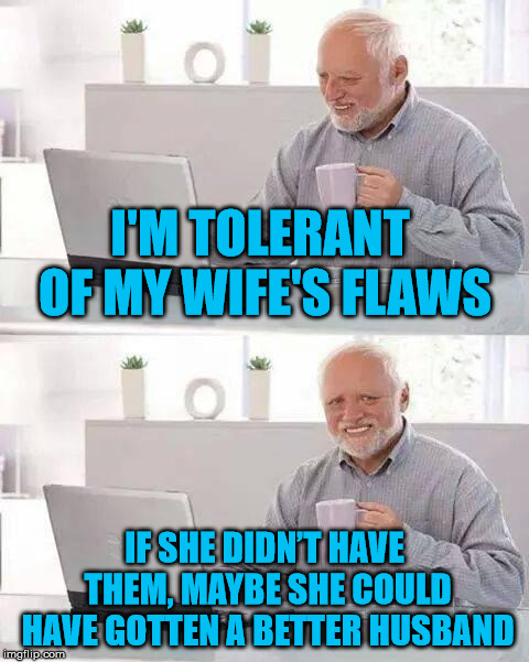 Harold finds the bright side yet again | I'M TOLERANT OF MY WIFE'S FLAWS; IF SHE DIDN’T HAVE THEM, MAYBE SHE COULD HAVE GOTTEN A BETTER HUSBAND | image tagged in memes,hide the pain harold | made w/ Imgflip meme maker