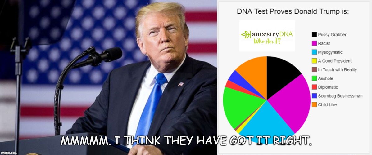 And the DNA Test Proves............. | MMMMM. I THINK THEY HAVE GOT IT RIGHT. | image tagged in scumbag dna,dna,donald trump,trump,president trump | made w/ Imgflip meme maker