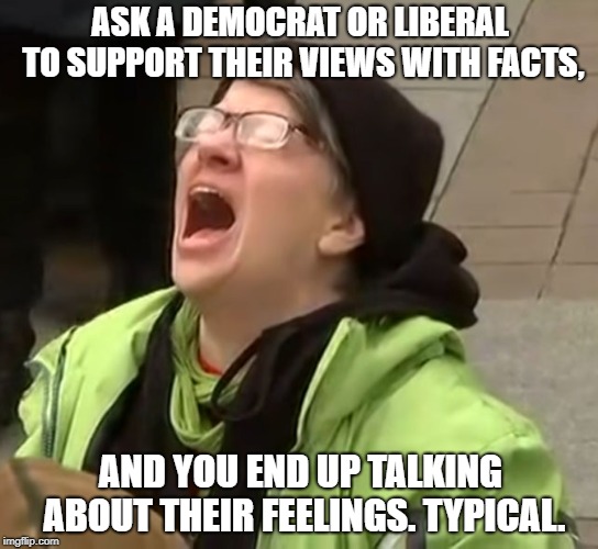snowflake | ASK A DEMOCRAT OR LIBERAL TO SUPPORT THEIR VIEWS WITH FACTS, AND YOU END UP TALKING ABOUT THEIR FEELINGS. TYPICAL. | image tagged in snowflake,liberals,stupid liberals,facts,feelings,democrats | made w/ Imgflip meme maker