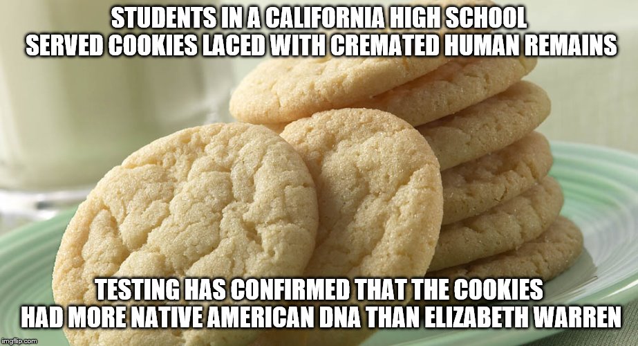 STUDENTS IN A CALIFORNIA HIGH SCHOOL SERVED COOKIES LACED WITH CREMATED HUMAN REMAINS; TESTING HAS CONFIRMED THAT THE COOKIES HAD MORE NATIVE AMERICAN DNA THAN ELIZABETH WARREN | image tagged in cookie | made w/ Imgflip meme maker