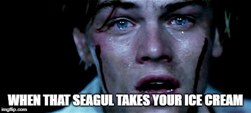 WHEN THAT SEAGUL TAKES YOUR ICE CREAM | image tagged in romeo and juliet | made w/ Imgflip meme maker