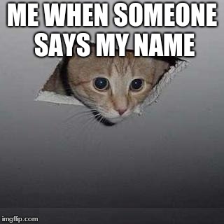 Ceiling Cat | ME WHEN SOMEONE SAYS MY NAME | image tagged in memes,ceiling cat | made w/ Imgflip meme maker