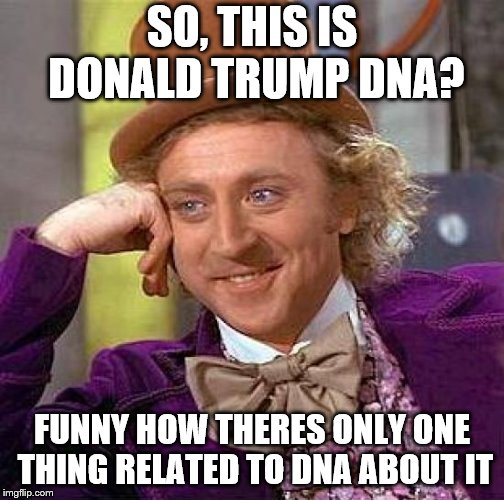 Creepy Condescending Wonka Meme | SO, THIS IS DONALD TRUMP DNA? FUNNY HOW THERES ONLY ONE THING RELATED TO DNA ABOUT IT | image tagged in memes,creepy condescending wonka | made w/ Imgflip meme maker