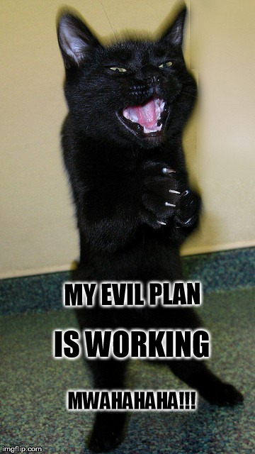 Excellent! | MY EVIL PLAN; IS WORKING; MWAHAHAHA!!! | image tagged in evil cat,cat memes,mr burns | made w/ Imgflip meme maker