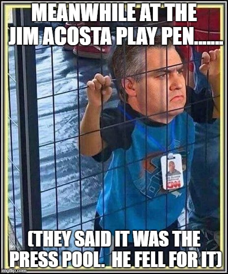 CNN Jim Acosta  | MEANWHILE AT THE JIM ACOSTA PLAY PEN....... (THEY SAID IT WAS THE PRESS POOL.  HE FELL FOR IT) | image tagged in cnn jim acosta | made w/ Imgflip meme maker