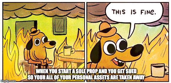 This Is Fine | WHEN YOU START A SOLE PROP AND YOU GET SUED SO YOUR ALL OF YOUR PERSONAL ASSETS ARE TAKEN AWAY | image tagged in this is fine dog | made w/ Imgflip meme maker